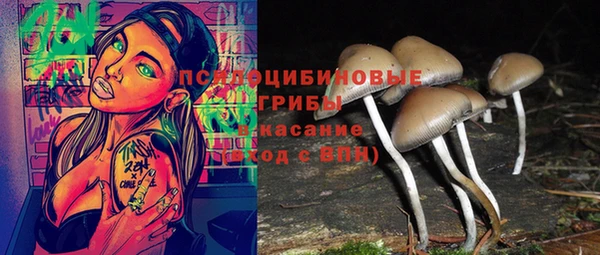 твердый Заволжск