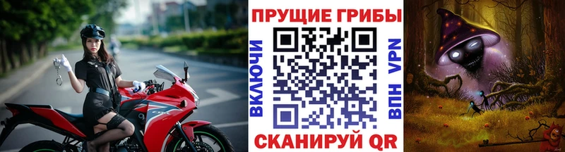 Купить  Никольское  Галлюциногенные грибы MAGIC MUSHROOMS 